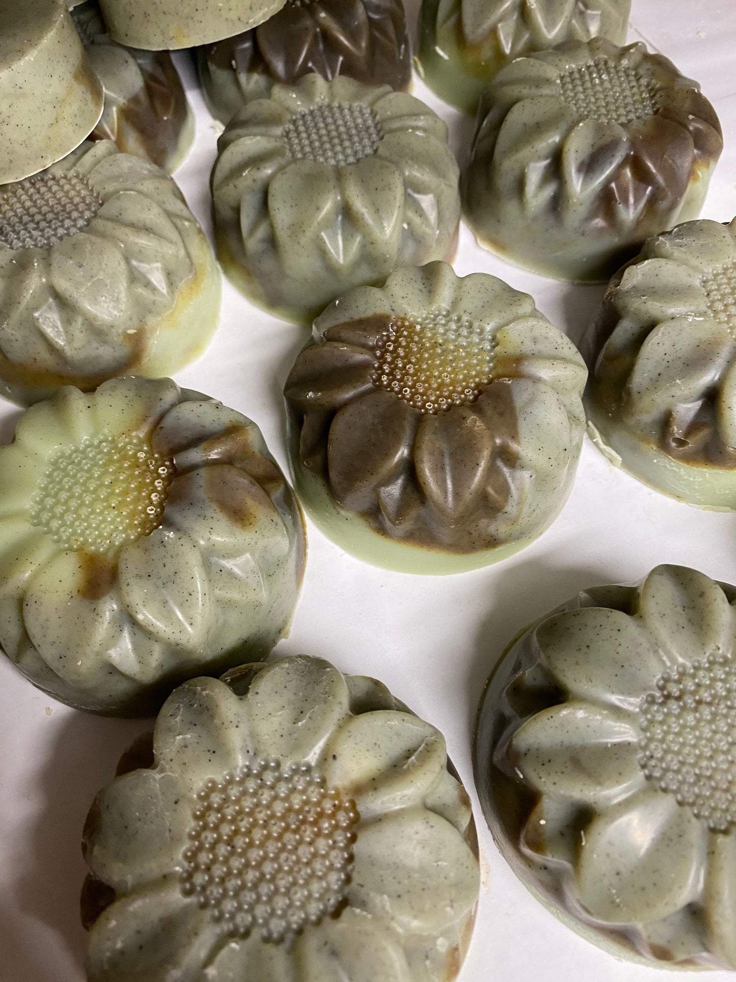 Cleanse & Grow or Grow It! Shampoo or Conditioner Bars